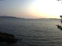 ./images/koeye/fitz-hugh/20180728/fitz-hugh20180728_204001.jpg
