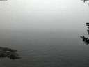 ./images/koeye/fitz-hugh/20180729/fitz-hugh20180729_050502.jpg