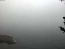 ./images/koeye/fitz-hugh/20180729/fitz-hugh20180729_053502.jpg