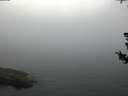 ./images/koeye/fitz-hugh/20180729/fitz-hugh20180729_060002.jpg