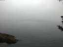 ./images/koeye/fitz-hugh/20180729/fitz-hugh20180729_061502.jpg