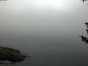 ./images/koeye/fitz-hugh/20180729/fitz-hugh20180729_062501.jpg