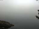 ./images/koeye/fitz-hugh/20180729/fitz-hugh20180729_071001.jpg