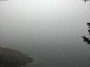 ./images/koeye/fitz-hugh/20180729/fitz-hugh20180729_082501.jpg