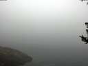 ./images/koeye/fitz-hugh/20180729/fitz-hugh20180729_084502.jpg