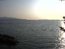 ./images/koeye/fitz-hugh/20180729/fitz-hugh20180729_192501.jpg