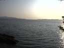 ./images/koeye/fitz-hugh/20180729/fitz-hugh20180729_193501.jpg