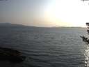 ./images/koeye/fitz-hugh/20180729/fitz-hugh20180729_194501.jpg