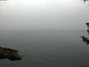 ./images/koeye/fitz-hugh/20180730/fitz-hugh20180730_060502.jpg