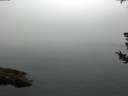 ./images/koeye/fitz-hugh/20180730/fitz-hugh20180730_061002.jpg