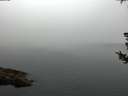 ./images/koeye/fitz-hugh/20180730/fitz-hugh20180730_061502.jpg