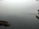 ./images/koeye/fitz-hugh/20180730/fitz-hugh20180730_062002.jpg