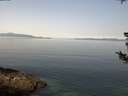 ./images/koeye/fitz-hugh/20180730/fitz-hugh20180730_104501.jpg
