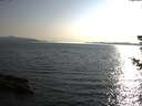 ./images/koeye/fitz-hugh/20180730/fitz-hugh20180730_185502.jpg