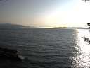 ./images/koeye/fitz-hugh/20180730/fitz-hugh20180730_190502.jpg