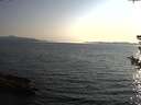 ./images/koeye/fitz-hugh/20180730/fitz-hugh20180730_194001.jpg