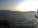 ./images/koeye/fitz-hugh/20180730/fitz-hugh20180730_195501.jpg