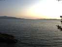 ./images/koeye/fitz-hugh/20180730/fitz-hugh20180730_204001.jpg