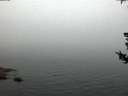 ./images/koeye/fitz-hugh/20180731/fitz-hugh20180731_052502.jpg