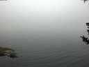 ./images/koeye/fitz-hugh/20180731/fitz-hugh20180731_054002.jpg
