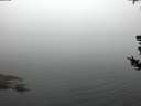 ./images/koeye/fitz-hugh/20180731/fitz-hugh20180731_054502.jpg