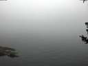 ./images/koeye/fitz-hugh/20180731/fitz-hugh20180731_055502.jpg