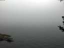 ./images/koeye/fitz-hugh/20180731/fitz-hugh20180731_060002.jpg