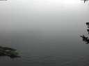 ./images/koeye/fitz-hugh/20180731/fitz-hugh20180731_060502.jpg