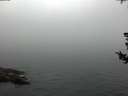 ./images/koeye/fitz-hugh/20180731/fitz-hugh20180731_061502.jpg