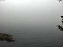 ./images/koeye/fitz-hugh/20180731/fitz-hugh20180731_062002.jpg