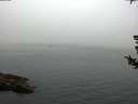 ./images/koeye/fitz-hugh/20180731/fitz-hugh20180731_064501.jpg