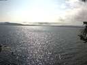 ./images/koeye/fitz-hugh/20180731/fitz-hugh20180731_164001.jpg