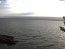 ./images/koeye/fitz-hugh/20180731/fitz-hugh20180731_201001.jpg
