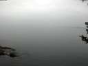 ./images/koeye/fitz-hugh/20180802/fitz-hugh20180802_063502.jpg