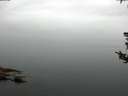 ./images/koeye/fitz-hugh/20180802/fitz-hugh20180802_064502.jpg