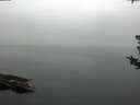 ./images/koeye/fitz-hugh/20180802/fitz-hugh20180802_072501.jpg