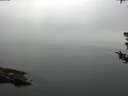 ./images/koeye/fitz-hugh/20180802/fitz-hugh20180802_074001.jpg