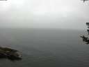 ./images/koeye/fitz-hugh/20180802/fitz-hugh20180802_075501.jpg