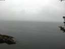 ./images/koeye/fitz-hugh/20180802/fitz-hugh20180802_080001.jpg