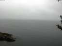 ./images/koeye/fitz-hugh/20180802/fitz-hugh20180802_080501.jpg