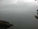 ./images/koeye/fitz-hugh/20180802/fitz-hugh20180802_100502.jpg