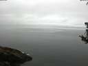 ./images/koeye/fitz-hugh/20180802/fitz-hugh20180802_104501.jpg