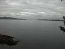 ./images/koeye/fitz-hugh/20180802/fitz-hugh20180802_215502.jpg