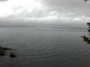 ./images/koeye/fitz-hugh/20180803/fitz-hugh20180803_065001.jpg