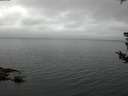 ./images/koeye/fitz-hugh/20180803/fitz-hugh20180803_070501.jpg