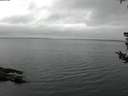 ./images/koeye/fitz-hugh/20180803/fitz-hugh20180803_073501.jpg