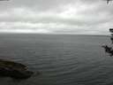 ./images/koeye/fitz-hugh/20180803/fitz-hugh20180803_094501.jpg