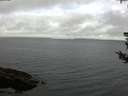./images/koeye/fitz-hugh/20180803/fitz-hugh20180803_100501.jpg