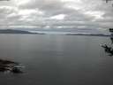 ./images/koeye/fitz-hugh/20180804/fitz-hugh20180804_054502.jpg