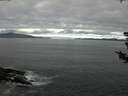 ./images/koeye/fitz-hugh/20180804/fitz-hugh20180804_084002.jpg